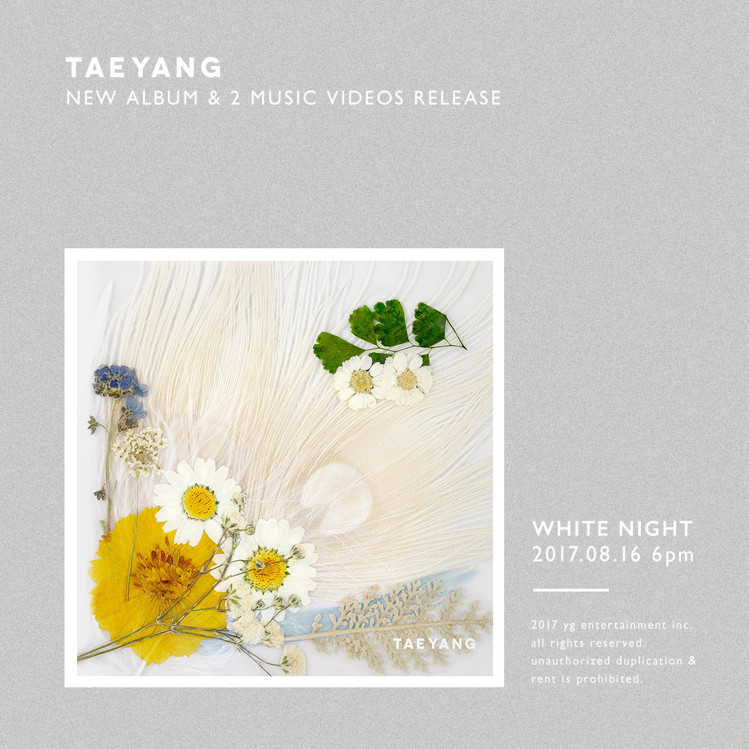 Taeyang WHITE NIGHT Counters (2).jpg